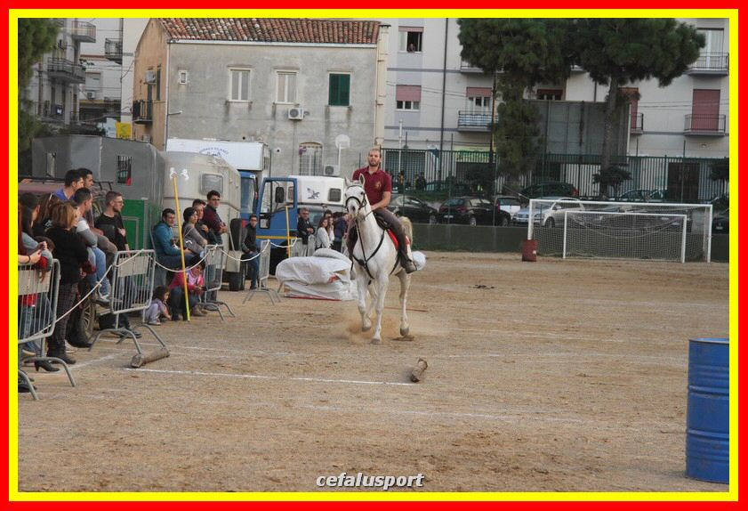 161106 equestre 023_tn.jpg